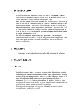 3
1 INTRODUCCION
El siguiente informe o practica de campo realizado en el IIASAM –Tingua,
realizado con el objetivo de conocer algunas razas de bovinos, conejos cuyes y
cerdos; además del resto de las razas que hay en el Perú.
Raza se refiere a los grupos en que se subdividen algunas especies biológicas, a
partir de una serie de características que se transmiten por herencia genética. El
término raza comenzó a usarse en el siglo XVI y tuvo su auge en el siglo XIX,
adoptando incluso una categoría taxonómica equivalente a subespecie. En 1905,
el Congreso Internacional de Botánica eliminó el valor taxonómico de raza. A
pesar de ello, su uso se mantiene en la lengua común y es muy frecuente cuando
se trata de animales domésticos.
Las diferentes razas que hemos observado, nos muestra el resultado del
mejoramiento de los animales a través de la inseminación artificial, lo que es de
suma importancia reconocer la raza del animal tanto para la sus diferentes
aspectos productivos.
2 OBJETIVO
- Reconocer características fenotípicas de las diferentes razas de animales.
3 MARCO TORICO
3.1 La raza
En biología, raza se refiere a los grupos en que se subdividen algunas especies
biológicas, a partir de una serie de características que se transmiten por herencia
genética. El término raza comenzó a usarse en el siglo XVI y tuvo su auge en el
siglo XIX, adoptando incluso una categoría taxonómica equivalente a
subespecie. En 1905, el Congreso Internacional de Botánica eliminó el valor
taxonómico de raza. A pesar de ello, su uso se mantiene en la lengua común y es
muy frecuente cuando se trata de animales domésticos.
Es un grupo de animales que proporcionan análoga descendencia y están
preparados para una función especial.
 