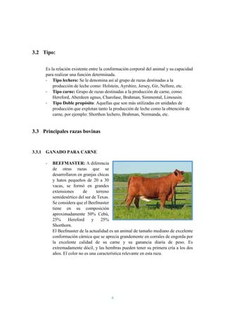 4
3.2 Tipo:
Es la relación existente entre la conformación corporal del animal y su capacidad
para realizar una función determinada.
- Tipo lechero: Se le denomina así al grupo de razas destinadas a la
producción de leche como: Holstein, Ayrshire, Jersey, Gir, Nellore, etc.
- Tipo carne: Grupo de razas destinadas a la producción de carne, como:
Hereford, Aberdeen agnus, Charolase, Brahman, Simmental, Limousin.
- Tipo Doble propósito: Aquellas que son más utilizadas en unidades de
producción que explotan tanto la producción de leche como la obtención de
carne, por ejemplo: Shorthon lechero, Brahman, Normanda, etc.
3.3 Principales razas bovinas
3.3.1 GANADO PARA CARNE
- BEEFMASTER: A diferencia
de otras razas que se
desarrollaron en granjas chicas
y hatos pequeños de 20 a 30
vacas, se formó en grandes
extensiones de terreno
semidesértico del sur de Texas.
Se considera que el Beefmaster
tiene en su composición
aproximadamente 50% Cebú,
25% Hereford y 25%
Shorthorn.
El Beefmaster de la actualidad es un animal de tamaño mediano de excelente
conformación cárnica que se aprecia grandemente en corrales de engorda por
la excelente calidad de su carne y su ganancia diaria de peso. Es
extremadamente dócil, y las hembras pueden tener su primera cría a los dos
años. El color no es una característica relevante en esta raza.
 