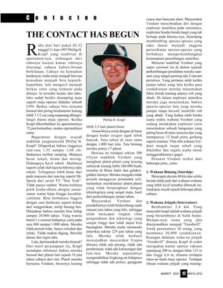 MARET 2001 INFO-UFO17
C o n t a c t e e
R
abu dini hari pukul 02.32
tanggal 11 Juni 1997 Phillip H.
Krapf yang sendirian di
apartemen-nya, terbangun dari
tidurnya karena kamar tidurnya
diterangi cahaya kebiru-biruan
berkilauan. Cahaya itu kemudian
berdenyut, mula-mula menjadi biru tua
kemudian menjadi biru keputih-
keputihan, lalu mengecil menjadi
berkas sinar yang terpusat pada
dirinya. Ia tersedot keatas dan tahu-
tahu sudah berdiri disamping meja
seperti meja operasi didalam sebuah
UFO. Berkas cahaya biru ternyata
berasal dari piring berdiameter kurang
lebih 7 1/2 cm yang terpasang dilangit-
langit diatas meja operasi. Ketika
Krapf dikembalikan ke apartemennya
72 jam kemudian, modus operandinya
sama.
Bagaimana dengan wujudl
makhluk yangmenculik Phillip H.
Krapf? Dilaporkan bahwa tingginya
rata-rata 1,55 sampai 1,60 cm.
Badannya terlihat ramping. Matanya
besar sekali, hitam dan miring.
Hidungnya kecil sekali. Mulutnya
seperti celah oleh karena bibirnya tipis
sekali. Telinganya lebih besar dari
pada manusia dan runcing seperti Mr.
Spock dari serial TV “Star Trek”.
Tidak punya rambut. Warna kulitnya
putih keabu-abuan dengan samar-
samar warna hijau hingga kecoklat-
coklatan. Bisa berbahasa Inggris
dengan cara berbicara seperti keluar
dari tenggorokan, mirip burung beo.
Dikatakan bahwa mereka bisa hidup
sampai 20.000 tahun. Yang wanita
hamil 1 x seumur hidupnya, yaitu pada
usia 800 sampai 1.000 tahun. Mereka
tidak pernah tidur, hanya istirahat dan
relaks. Tidak makan daging. Bersifat
damai dan ingin tahu.
Lalu, darimanakah mereka berasal?
Dari hasil perjumpaan itu, Krapf
mendapat informasi bahwa mereka
berasal dari planet lain sejauh 14 juta
tahun cahaya dari sini. Planit mereka
bernama Verdant, besarnya kurang
lebih 2,5 kali planet bumi.
Atmosfirnya mirip dengan di bumi
dengan kadar oxigen agak lebih
banyak. Satu tahun di sana sama
dengan 1.000 hari kita. Tata bintang
mereka punya 17 planit.
Dewasa ini terdapat sekitar 500
trilyun makhluk Verdant yang
menghuni planit-planit yang kosong
sebanyak kurang lebih 246.000 buah,
tersebar di Bima Sakti dan galaksi-
galaksi lainnya. Mereka mengaku tidak
pernah menggusur penduduk asli,
melainkan mereklamasi planit-planit
yang tidak berpenghuni dengan
teknologinya yang sangat maju, hasil
dari perkembangan jutaan tahun.
Masyarakat Verdant dan
peradabannya telah berkembang sejak
ratusan juta tahun yang lalu, sehingga
telah mencapai tingkat ilmu
pengetahuan dan teknologi yang
sangat tinggi dan tidak dapat kita
bayangkan. Mereka mulai memasuki
antariksa sekitar 229 juta tahun yang
lalu. Mereka telah berhasil
mewujudkan masyarakat Utopia
dimana tidak ada perang, tidak ada
penderitaan, tidak ada kekurangan dan
lain-lain. Mereka sepenuhnya
mengendalikan lingkung-an hidupnya
sehingga tidak ada polusi, gangguan
cuaca atau bencana alam. Masyarakat
Verdant menyibukkan diri dengan
explorasi antariksa pada umumnya,
exploitasi benda-benda langit yang tak
bertuan pada khusus-nya, disamping
membimbing spesies-spesies yang
suka damai menjadi anggota
perserikatan spesies-spesies yang
berbahaya memperkembangkan
kemampuan penerbangan antariksa.
Menurut makhluk Verdant yang
super rasional itu di dalam sejarah
perkembangan peradaban mereka saat-
saat yang sangat penting ada 2 macam
peristiwa. Yang pertama ialah ketika
jutaan tahun yang lalu ketika para
cendekiawan mereka menemukan
fakta ilmiah tentang adanya roh yang
abadi. Di dalam explorasi antariksa
mereka juga menemukan, bahwa
spesies-spesies lain yang mereka
jumpai tanpa kecuali memiliki roh
yang abadi. Yang kedua ialah ketika
suatu waktu wahana Verdant yang
sedang melakukan explorasi rutin
menemukan sebuah bangunan yang
paling besar di alam semesta dan yang
mempunyai 12 buah pintu gerbang
seperti mutiara. Tiba-tiba wahana Ver-
dant mogok tanpa sebab yang
diketahui dan segala usaha untuk
menggerakkannya gagal.
Pesawat Verdant terdisi dari
beberapa jenis, yaitu:
1. Wahana Bintang (Starship)
Mencapai ukuran 48 km dan selalu
berada tidak jauh dari wahana-wahana
yang lebih kecil tersebut dibawah ini,
meskipun masih sejauh beberapa tahun
cahaya.
2. Wahana Jelajah (Starcruiser)
Berdiameter 2,4 km. Yang
menyedot krapf adalah wahana jelajah
yang bersembunyi di balik bulan.
Mempu-nyai nama yang jika
diterjemahkan menjadi “Goodwill”.
Awak pesawatnya 30 orang, yang
membawa 30.000 cendekiawan.
Ruangan didalam waha-na jelajah
“Goodwill” dimana Krapf di-sedot
merupakan kamar operasi raksasa
sepanjang 200 m, dengan lebar 133 m
dan tinggi 6,6 m, dimana terdapat
ratus-an buah meja operasi. Terdapat
ribuan wahana jelajah yang masing-
THE CONTACT HAS BEGUN
Phillip H. Krapf
 