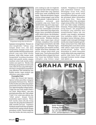 Nomor 08INFO-UFO 16
Kantor Pemasaran:
Gedung Graha Pena
Jl. A. Yani 88 Surabaya 60234
Telp. (031) 828-7999 Fax. (031) 829-1999
E-mail : grahapena@jawapos.co.id
kapanpun memungkinkan. Skenario ini
akan menghindari ‘lubang’ yang
nampak dalam teori, dan akan
menjelaskan mengapa kaum Grey
seperti memiliki teknologi perekayasaan
genetik yang maju untuk mereka
gunakan, tetapi tidak mampu untuk
memperbaiki kesalahan-kesalahan
dalam kode genetik mereka, ataupun
membuat variasi kode mereka sendiri
melalui cara seperti itu. Mereka telah
kehilangan pengetahuan tersebut pada
suatu waktu di masa yang telah lampau,
atau hanya menggunakan pengetahuan
yang diberikan oleh kebudayaan lain
kepada mereka, tanpa mengerti apa
sebetulnya yang sedang terjadi.
Penampilan Fisik :
Bukti lain berasal dari laporan-
laporan korban penculikan mengenai
penampilan fisik kaum Grey. Menurut
korban-korban penculikan dan pelapor
pemerintah tertentu, bentuk fisik kaum
Grey dapat disimpulkan sebagai berikut:
Tinggi rata-rata 4 kaki sampai 4 kaki 6
inci untuk ‘dokter-dokter’, atau para
pemimpinpenculikan,dan3kakisampai
3 kaki 6 inci untuk para pekerja atau
‘lebah jantan’, dengan bentuk
keseluruhan seperti manusia. Warna
kulit mereka antara abu-abu terang
sampai abu-abu gelap dan kelihatannya
tidak memiliki pori-pori. Kepalanya
berukuran proporsional dan merupakan
sebuah bentuk segitiga terbalik dengan
permukaan vertikal. Daerah tengkorak
besar dan bundar, dan mata yang besar
serta condong ke arah sisi tengkorak.
Lengan dan kaki terlihat sangat kurus,
dengan sebuah leher yang sepertinya
terlalu kurus untuk mendukung berat
kepala. Tidak ada alat kelamin, ataupun
tonjolan tulang panggul yang terlihat
di balik pakaian. Laporan-laporan ini
nampaknya menunjuk pada
kesimpulan yang sama: Kaum Grey
adalah keledai yang steril, tanpa organ-
organ seksual. Penggambaran tubuh
kaum Grey menerangkan persamaan
mereka: tubuh-tubuh yang sangat mirip,
dengan hanya perubahan-perubahan
sedikit dalam ukuran, dan perbedaan-
perbedaan model yang teramati pada
kepala mereka. Meskipun demikian,
bahkan tanpa organ-organ seksual
sekalipun, nampaknya Grey memiliki
penggolongan jenis kelamin, dan tidak
netral begitu saja. Walaupun begitu,
penggolongan jenis kelamin tersebut,
nampak benar-benar ditentukan oleh
pikiran, dengan tubuh-tubuh yang
hampir sama. Para korban penculikan
melaporkan bahwa sebagian dari kaum
Grey ‘terasa’ atau ‘kelihatan’ feminin,
sedangkan yang lainnya sangat
maskulin. Nampaknya ini menunjuk
pada pembedaan kelamin, yang
dihilangkan secara fisik, hanya
meninggalkan pola mental untuk
menunjukkan perbedaan antara pria
dan perempuan dalam infrastruktrur
sosial kaum Grey. Harus juga
diperhatikan bahwa Grey perempuan
sangat jarang terlihat, dan dilaporkan
steril serta tidak mampu melahirkan
keturunan. Prianya adalah yang paling
sering diamati, dan pengambilan
kesimpulan yang sederhana akan
memperlihatkan bahwa ada satu
skenario yang mungkin: perempuan
Grey jumlahnya sedikit, dan pasti
diasingkan karena beberapa alasan,
mungkin untuk mencegah kehilangan
mereka atau tempat kumpulan genetik.
Tetapi, karena kaum Grey tidak dapat
berkembang biak secara alami, karena
tidak adanya organ-organ seksual,
metoda-metoda buatan harus
dimasukkan ke dalam masyarakat
mereka dalam skala yang sangat besar,
apabila tidak hanya besar, untuk
mencegah kematian mereka sebagai
suatu spesies. e
Pengalaman mengerikan diculik alien.
 