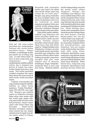 Nomor 11INFO-UFO 10
lebih dari 100 orang korban
penculikan dan mengumpulkan
informasi dari ratusan korban
penculikan lainnya. Sebagai
tambahan, ia berhubungan dengan
para peneliti lain di bidang yang
sama. Ia telah terlibat dalam 10
kasus di mana orang-orang yang
mengalaminya telah
mendeskripsikan makhluk-makhluk
reptilia, dan ia mengenal para
peneliti di bagian lain negeri
tersebut dengan kasus-kasus yang
serupa. Para korban penculikan
seringkali mengalami luka seperti
bekas cakaran dan memar-memar di
tubuh mereka setelah penculikan
mereka.
Carpenter menyimpulkan apa
yang ia ketahui mengenai makhluk-
makhluk ini dalam kolom
regulernya, “Catatan Penculikan”,
Jurnal UFO MUFON, edisi April
1993: “Biasanya, para makhluk
reptilia ini dilaporkan bertinggi
badan sekitar enam sampai tujuh
kaki, berdiri tegak, dengan sisik-
sisik seperti kadal, berwarna coklat
kehijau-hijauan, dengan tangan
seperti cakar berjari empat yang
berselaput. … Wajah mereka
dikatakan merupakan campuran
antara manusia dan ular, dengan
sebuah kerutan di tengah turun dari
atas kepala sampai ke hidung.
Menambah pada penampilan
mereka yang seperti ular adalah
mata mereka dengan pupil yang
vertikal dan iris warna emas.”
Mungkin yang paling menakutkan
dan yang merupakan bagian yang
paling mengundang kontroversi
dari kisah-kisah ini adalah
pengakuan-pengakuan bahwa para
makhluk tersebut kadang-kadang
dilaporkan melakukan hubungan
seksual dengan korban penculikan.
Tidak perduli apakah makhluk-
makhluk yang dilaporkan oleh
korban penculikan adalah Grey,
blondes (nordic), reptilia, atau jenis
lainnya, fenomena skenario
penculikan cukup konsisten dalam
ribuan kasus yang telah diteliti
sejauh ini. Sebagai tambahan selain
dilakukannya berbagai prosedur
medis kepada mereka, para korban
penculikan juga melaporkan telah
menerima informasi dalam bentuk
lambang atau gambar, yang artinya
seringkali tidak jelas, tetapi
sebagian besar di antaranya
berhubungan dengan malapetaka-
malapetaka Bumi di masa yang
akan datang. Makhluk-makhluk
tersebut kadang-kadang menyebut
diri mereka sendiri sebagai
“Pengawas”, “Penjaga”, atau
“Pelindung Umat Manusia” dan
semua makhluk hidup di Bumi; dan
mereka mengatakan bahwa mereka
sedang bersiap-siap untuk waktu
yang tidak lama lagi akan tiba pada
waktu perubahan global akan sangat
mempengaruhi kehidupan di planet
kita. Dalam beberapa kasus,
mereka telah menunjukkan bahwa
mereka berasal dari berbagai bagian
dari Alam Semesta, termasuk
Galaksi-galaksi lain, atau dari
“sebuah tempat yang sangat jauh.”
Satu hal yang pasti merupakan
hal yang paling mengkhawatirkan
dari prosedur-prosedur yang
dilaporkan, baik pria maupun
wanita korban-korban penculikan,
tetapi lebih sering wanita,
melaporkan diperlihatkan ruang-
ruang pamer yang dipenuhi dengan
ratusan tabung-tabung kaca di mana
janin-janin hibrida dipelihara, lebih
seperti taman hidroponik. Dalam
banyak kasus, orang-orang yang
mengalami diperlihatkan ruang
perawatan bayi-bayi hibrida atau
Reptilian, salah satu ras alien yang dianggap berbahaya.
 