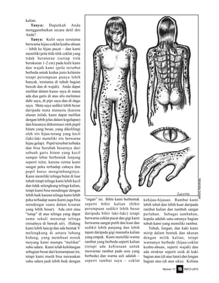 Nomor 11 INFO-UFO15
kalian.
Tanya: Dapatkah Anda
menggambarkan secara detil diri
Anda?
Tanya: Kulit saya terutama
berwarna hijau-coklat keabu-abuan
– lebih ke hijau pucat – dan kami
memiliki pola titik-titik coklat yang
tidak beraturan (setiap titik
berukuran 1-2 cm) pada kulit kami
dan wajah kami (pola tersebut
berbeda untuk kedua jenis kelamin
tetapi perempuan punya lebih
banyak, terutama di tubuh bagian
bawah dan di wajah). Anda dapat
melihat dalam kasus saya di mana
ada dua garis di atas alis melintasi
dahi saya, di pipi saya dan di dagu
saya. Mata saya sedikit lebih besar
daripada mata manusia (karena
alasan inilah, kami dapat melihat
dengan lebih jelas dalam kegelapan)
dan biasanya didominasi oleh pupil
hitam yang besar, yang dikelilingi
oleh iris hijau-terang yang kecil
(laki-laki memiliki iris berwarna
hijau gelap). Pupil tersebut terbuka
dan bisa berubah besarnya dari
sebuah garis hitam yang kecil
sampai lebar berbentuk lonjong
seperti telur, karena retina kami
sangat peka terhadap cahaya dan
pupil harus mengimbanginya.
Kami memiliki telinga bulat di luar
tubuh tetapi telinga kami lebih kecil
dan tidak selengkung telinga kalian,
tetapi kami bisa mendengar dengan
lebih baik karena telinga kami lebih
peka terhadap suara (kami juga bisa
mendengar suara dalam kisaran
yang lebih besar). Ada otot atau
“tutup” di atas telinga yang dapat
sama sekali menutup telinga
(misalnya di bawah air). Hidung
kami lebih lancip dan ada bentuk V
melengkung di antara lubang
hidung, yang membuat nenek
moyang kami mampu “melihat”
suhu udara. Kami telah kehilangan
sebagian besar dari kemampuan ini,
tetapi kami masih bisa merasakan
suhu udara jauh lebih baik dengan
“organ” ini. Bibir kami berbentuk
seperti bibir kalian (bibir
perempuan sedikit lebih besar
daripada bibir laki-laki) tetapi
berwarna coklat pucat dan gigi kami
berwarna sangat putih dan kuat dan
sedikit lebih panjang dan lebih
tajam daripada gigi mamalia kalian
yang empuk. Kami memiliki warna
rambut yang berbeda seperti kalian
(tetapi ada kebiasaan untuk
mewarnai rambut pada usia yang
berbeda) dan warna asli adalah –
seperti rambut saya – coklat
kehijau-hijauan. Rambut kami
lebih tebal dan lebih kuat daripada
rambut kalian dan tumbuh sangat
perlahan. Sebagai tambahan,
kepala adalah satu-satunya bagian
tubuh kami yang memiliki rambut.
Tubuh, lengan, dan kaki kami
mirip dalam bentuk dan ukuran
dengan milik kalian, tetapi
warnanya berbeda (hijau-coklat
keabu-abuan, seperti wajah) dan
ada struktur seperti sisik di kaki
bagian atas (di atas lutut) dan lengan
bagian atas (di atas siku). Kelima
Lacerta
AlfonsHendrata
 