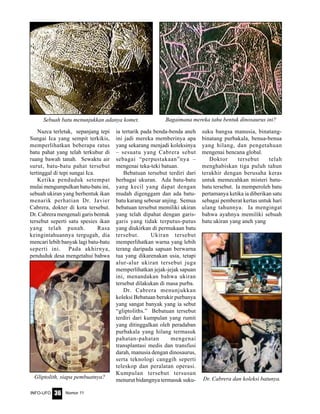 Nomor 11INFO-UFO 36
Nazca terletak, sepanjang tepi
Sungai Ica yang sempit terkikis,
memperlihatkan beberapa ratus
batu pahat yang telah terkubur di
ruang bawah tanah. Sewaktu air
surut, batu-batu pahat tersebut
tertinggal di tepi sungai Ica.
Ketika penduduk setempat
mulai mengumpulkan batu-batu ini,
sebuah ukiran yang berbentuk ikan
menarik perhatian Dr. Javier
Cabrera, dokter di kota tersebut.
Dr. Cabrera mengenali garis bentuk
tersebut seperti satu spesies ikan
yang telah punah. Rasa
keingintahuannya tergugah, dia
mencari lebih banyak lagi batu-batu
seperti ini. Pada akhirnya,
penduduk desa mengetahui bahwa
ia tertarik pada benda-benda aneh
ini jadi mereka memberinya apa
yang sekarang menjadi koleksinya
– sesuatu yang Cabrera sebut
sebagai “perpustakaan”nya –
mengenai teka-teki batuan.
Bebatuan tersebut terdiri dari
berbagai ukuran. Ada batu-batu
yang kecil yang dapat dengan
mudah digenggam dan ada batu-
batu karang sebesar anjing. Semua
bebatuan tersebut memiliki ukiran
yang telah dipahat dengan garis-
garis yang tidak terputus-putus
yang diukirkan di permukaan batu
tersebut. Ukiran tersebut
memperlihatkan warna yang lebih
terang daripada sapuan berwarna
tua yang dikarenakan usia, tetapi
alur-alur ukiran tersebut juga
memperlihatkan jejak-jejak sapuan
ini, menandakan bahwa ukiran
tersebut dilakukan di masa purba.
Dr. Cabrera menunjukkan
koleksi Bebatuan berukir purbanya
yang sangat banyak yang ia sebut
“gliptoliths.” Bebatuan tersebut
terdiri dari kumpulan yang rumit
yang ditinggalkan oleh peradaban
purbakala yang hilang termasuk
pahatan-pahatan mengenai
transplantasi medis dan transfusi
darah, manusia dengan dinosaurus,
serta teknologi canggih seperti
teleskop dan peralatan operasi.
Kumpulan tersebut tersusun
menurut bidangnya termasuk suku-
suku bangsa manusia, binatang-
binatang purbakala, benua-benua
yang hilang, dan pengetahuan
mengenai bencana global.
Doktor tersebut telah
menghabiskan tiga puluh tahun
terakhir dengan berusaha keras
untuk memecahkan misteri batu-
batu tersebut. Ia memperoleh batu
pertamanya ketika ia diberikan satu
sebagai pemberat kertas untuk hari
ulang tahunnya. Ia mengingat
bahwa ayahnya memiliki sebuah
batu ukiran yang aneh yang
Dr. Cabrera dan koleksi batunya.Gliptolith, siapa pembuatnya?
Sebuah batu menunjukkan adanya komet. Bagaimana mereka tahu bentuk dinosaurus ini?
 