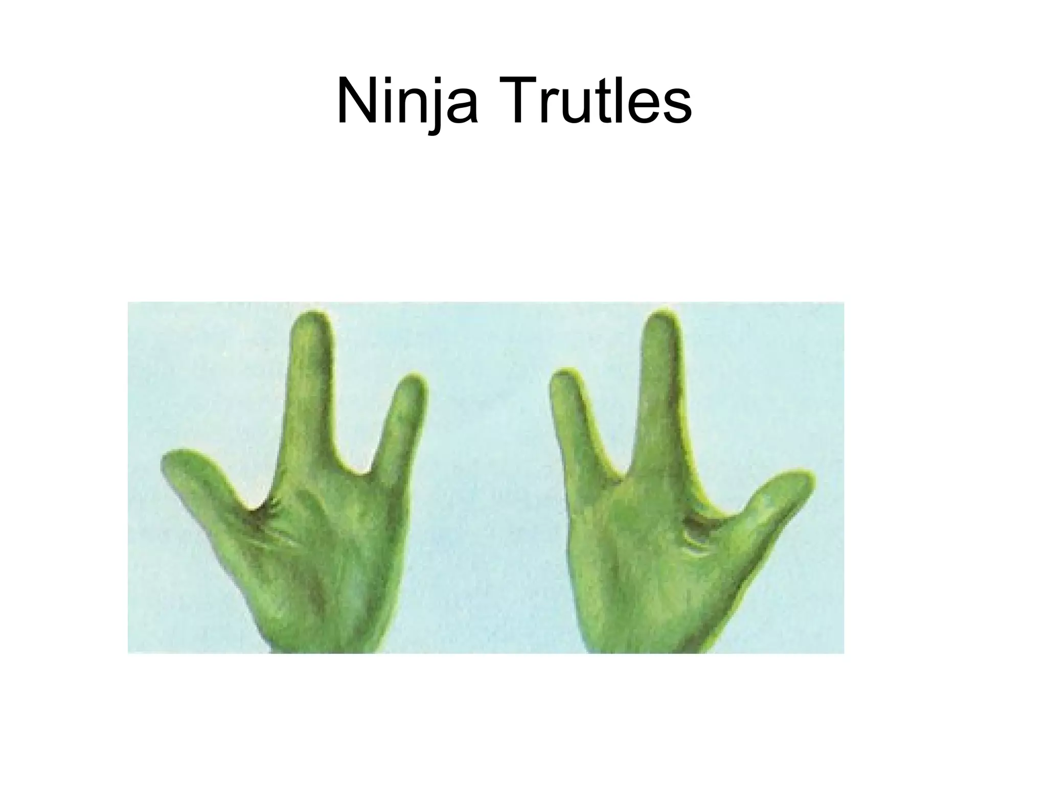Ninja Trutles

 