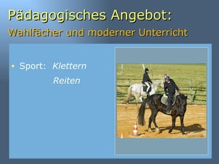 Pädagogisches Angebot: Wahlfächer und moderner Unterricht     Reiten Sport:  Klettern 