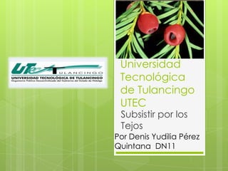 Universidad
Tecnológica
de Tulancingo
UTEC
Subsistir por los
Tejos
Por Denis Yudilia Pérez
Quintana DN11
 