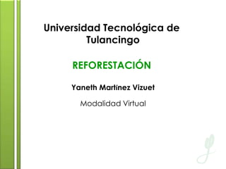 Universidad Tecnológica de
Tulancingo
REFORESTACIÓN
Yaneth Martínez Vizuet
Desarrollo e Innovación Empresarial
Modalidad Virtual
1er Cuatrimestre
Matricula: 1713110228
20 de Septiembre 2013
 
