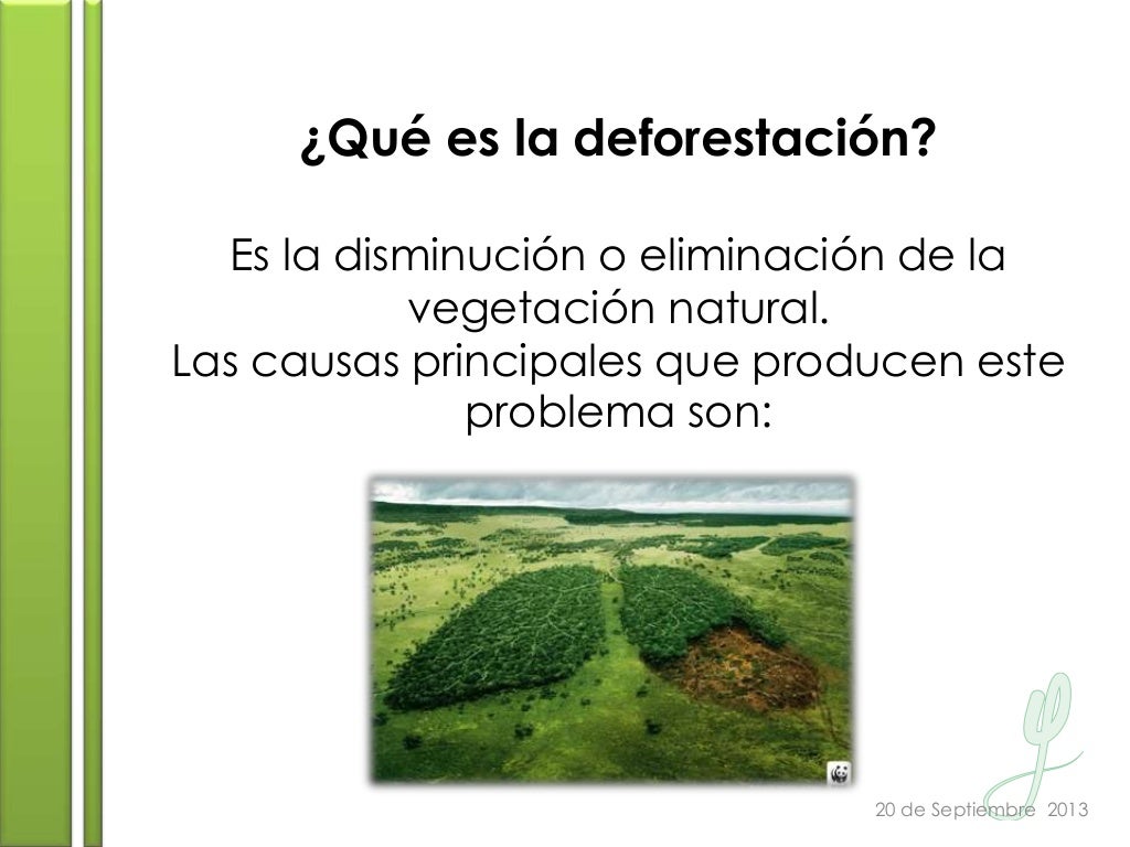 La Reforestación