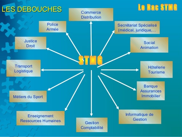 Métier Bien Payés Avec Bac Sti2d CIO Niort : l'orientation après la classe de seconde