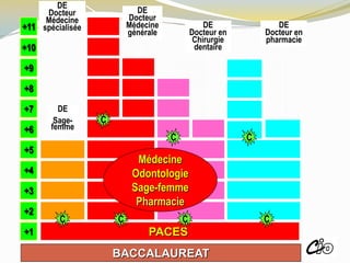 PACES
BACCALAUREAT
+1
+2
+5
+4
+3
+10
+11
+9
+8
+7
+6
DE
Docteur en
pharmacie
DE
Docteur
Médecine
générale
DE
Docteur en
Chirurgie
dentaire
DE
Sage-
femme
DE
Docteur
Médecine
spécialisée
C
C
CC C C
C
Médecine
Odontologie
Sage-femme
Pharmacie
ROISSY
 