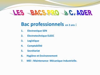 Bac professionnels en 3 ans :
1. Electronique SEN
2. Electrotechnique ELEEC
3. Logistique
4. Comptabilité
5. Secrétariat
6. Hygiène et Environnement
7. MEI : Maintenance Mécanique Industrielle.
 