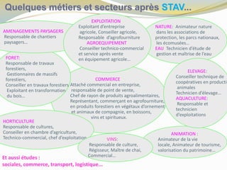 Quelques métiers et secteurs après STAV...
NATURE: Animateur nature
dans les associations de
protection, les parcs nationaux,
les écomusées…
EAU: Technicien d’étude de
gestion et maîtrise de l’eau
COMMERCE:
Attaché commercial en entreprise,
responsable de point de vente,
Chef de rayon de produits agroalimentaires,
Représentant, commerçant en agrofourniture,
en produits forestiers en végétaux d’ornement
et animaux de compagnie, en boissons,
vins et spiritueux.
ANIMATION :
Animateur de la vie
locale, Animateur de tourisme,
valorisation du patrimoine…
HORTICULTURE:
Responsable de cultures,
Conseiller en chambre d’agriculture,
Technico-commercial, chef d’exploitation… VINS:
Responsable de culture,
Régisseur, Maître de chai,
Commercial…
FORET:
Responsable de travaux
forestiers,
Gestionnaires de massifs
forestiers,
Conseiller en travaux forestiers
Exploitant en transformation
du bois…
AMENAGEMENTS PAYSAGERS:
Responsable de chantiers
paysagers…
ELEVAGE:
Conseiller technique de
coopératives en productio
animales
Technicien d’élevage…
AQUACULTURE:
Responsable et
technicien
d’exploitations
EXPLOITATION :
Exploitant d’entreprise
agricole, Conseiller agricole,
Responsable d’agrofourniture
AGROEQUIPEMENT:
Conseiller technico-commercial
et service après vente
en équipement agricole…
Et aussi études :
sociales, commerce, transport, logistique...
 