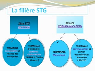 La filière STG
1ère STG
GESTION
TERMINALE
Comptabilité et
finance des
entreprises
TERMINALE
Gestion des
systèmes
d’information
( CHAMPS, Chelles,
Meaux…)
TERMINALE
Mercatique
TERMINALE
Communication et
gestion
des ressources
Humaines
( ROISSY)
1ère STG
COMMUNICATION
 