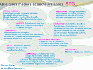 Quelques métiers et secteurs après STG...
ASSURANCES : Chargé de clientèle,
Conseiller en assurance, Courtier,
Rédacteur de police d’assurance,
Assistant concepteur de produit…
RESSOURCES HUMAINES :
Adjoint au chef du personnel,
Assistant en ressources humaines,
Assistant conseiller en formation,
PARAMEDICAL:
Moniteur-éducateur, Infirmier…
SOCIAL: Animateur de loisir,
Conseiller en économie
sociale et familiale…
COMMERCE : Animateur de vente,
Chargé de clientèle, Chef de rayon,
Délégué commercial, Télévendeur,
Acheteur, Assistant chargé d’études marketing,
Assistant service import-export, Attaché commercial,
Représentant, Négociateur, Prospecteur…
COMPTABILITE:
Aide-comptable en entreprise,
Gestionnaire de prêt, Responsable des achats,
Assistant en cabinet d’expertise comptable,
Econome, Contrôleur de gestion…
BANQUE -BOURSE :
Attaché commercial en service bancaire,
Comptable client-fournisseur,
Chargé d’accueil et services à la clientèle,
Gestionnaire back-office, Rédacteur juridique …
SECRETARIAT : Assistant de direction,
Assistant administrateur des ventes,
Secrétaire commerciale, Secrétaire juridique,
Secrétaire médico-sociale, Assistant
export trilingue, Assistant de gestion ,
Chargé de communication…
LANGUES: Animateur de tourisme,
Billettiste, Traducteur technique,
Secrétaire trilingue…
Et aussi études
de logistique, transport…
 