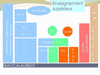 BACCALAUREAT
+
1
+
2
+
3
+
4
+
5
+
et
+6
DUT BTSDEUST
L 1
L 2
L 3
M 1
M 2
D+3
C
P
G
E
Université
Lycée
Ecoles
Spécialisées
MédecineSage-femme
PharmacieDentaire
IUT
Enseignement
supérieur
Licence Pro
 