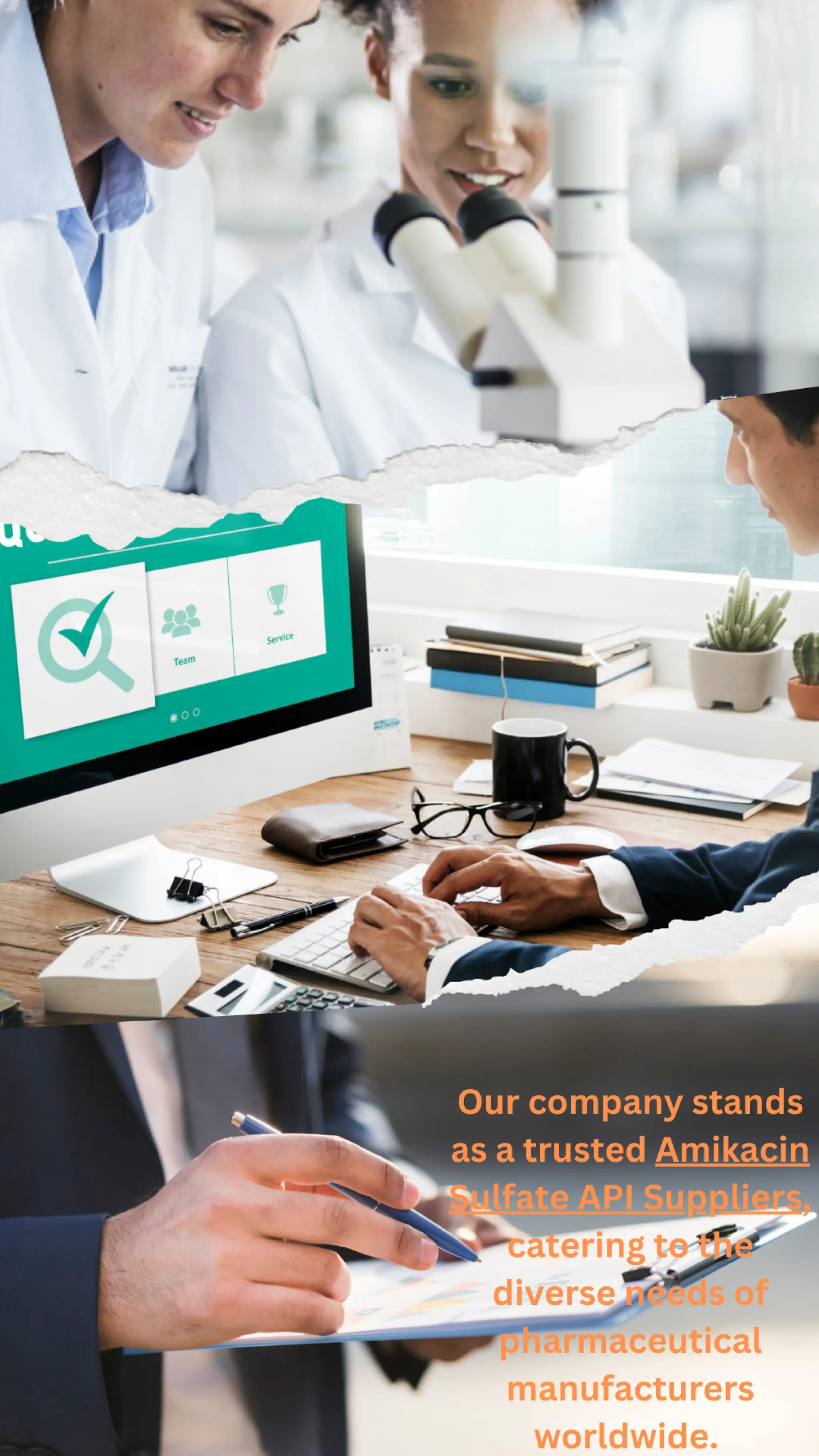 Empowering Pharmaceutical Excellence: A Comprehensive Portfolio of API 