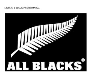 EXERCICI 3-b) COMPRIMIR IMATGE.