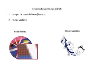  Hi ha dos tipusd’imatge digital :Imatges de mapa de bits o (Rasters)Imatge vectorialImatgevecrorial mapa de bits 