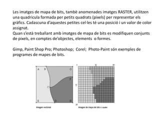 Les imatges de mapa de bits, tambèanomenadesimatges RASTER, utilitzen  una quadricula formada per petitsquadrats (pixels) per representar elsgràfics. Cadascunad’aquestespetitescel·les té una posició i un valor de color assignat.Quans’estàtreballantambimatges de mapa de bits es modifiquen conjunts de pixels, en comptesde’objectes, elements  o formes.Gimp, Paint Shop Pro; Photoshop;  Corel;  Photo-Paintsónexemples de programes de mapes de bits.