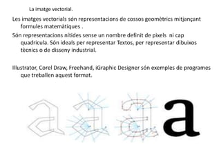 La imatge vectorial.Les imatges vectorials són representacions de cossos geomètrics mitjançant formules matemàtiques .Sónrepresentacionsnítidessense un nombre definit de pixels  ni capquadricula. Sónideals per representar Textos, per representar dibuixostècnics o de disseny industrial.Illustrator, Corel Draw, Freehand, iGraphicDesignersónexemples de programes que treballenaquestformat.