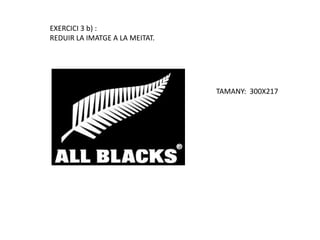 EXERCICI 3 b) :REDUIR LA IMATGE A LA MEITAT.TAMANY:  300X217