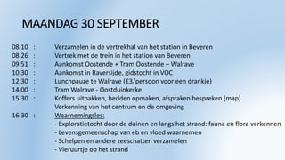 MAANDAG 30 SEPTEMBER
08.10 : Verzamelen in de vertrekhal van het station in Beveren
08.26 : Vertrek met de trein in het station van Beveren
09.51 : Aankomst Oostende + Tram Oostende – Walrave
10.30 : Aankomst in Raversijde, gidstocht in VOC
12.30 : Lunchpauze te Walrave (€3/persoon voor een drankje)
14.00 : Tram Walrave - Oostduinkerke
15.30 : Koffers uitpakken, bedden opmaken, afspraken bespreken (map)
Verkenning van het centrum en de omgeving
16.30 : Waarnemingsles:
- Exploratietocht door de duinen en langs het strand: fauna en flora verkennen
- Levensgemeenschap van eb en vloed waarnemen
- Schelpen en andere zeeschatten verzamelen
- Vieruurtje op het strand
 