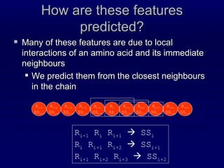 How are these features predicted? Many of these features are due to local interactions of an amino acid and its immediate neighbours  We predict them from the closest neighbours in the chain R i SS i R i+1 SS i+1 R i-1 SS i-1 R i+2 SS i+2 R i-2 SS i-2 R i+3 SS i+3 R i+4 SS i+4 R i-3 SS i-3 R i-4 SS i-4 R i-5 SS i-5 R i+5 SS i+5 R i-1  R i  R i+1     SS i R i  R i+1  R i+2     SS i+1 R i+1  R i+2  R i+3     SS i+2 