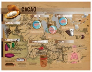 CACAO
                                                                                          ORIGEN                                                                        DATOS HISTÓRICOS
                                                                                                                                                                                                                                En Europa en el S. XVIII
                                                                                                                                                                                                                                       se comienza a
                                                                                                                                                                                                                                       innovar la elba-
                                                                                                                                                                                                                                       oración del
                                                                                                                                                                                                                                       chocoltae, se elmi-
                                                                                                                                                                                                                                       nan las especia y se
                                                                                                                                                                                                                                       agrega:
                                                                                                                                                                                           Suiza                            (Vainilla, azúcar
                                                                                                                                                                                                                             y canela)

EL ÁRBOL                                                                                  Puerto Escondido


                                                                                             Honduras
Theobroma Cacao es el nombre del árbol de
cacao.Theobroma en griego significa; alimento de
los dioses.                                                                                                                                                                               Los suizos investigaron mucho sobre el
                                                                                                                                                                                          chocolate y crearon en 1875 la barra de
                                                                                                                                                         Río Orinoco                      chocolate con leche.

                                                                                Evidencias arqueológicas datan que en
                         La    altura   promedio                                Puerto Escondido (Actual Honduras) las                              Río Amazonas
                         es de 4m.                                              semillas de cacao se utilizaban para hacer
                                                                                una bebida agría (cerveza) que fue ante-
                         Para plantaciones requi-                                                                                                                                                                                   El suizo Francois- Lo
                                                                                      r          i            o          r                                                                                                                                uis Cailler,
                         ere estar bajo sombra y                                                                                                                                                                                    fue el primero en el
                                                                                a la bebida de chocolate, hace unos 1100                                                                                                                                 aborar las
                         protegida del viento.                                                                                                                                                                                      barras de chocolate.
                                                                                                                                            Estudios sobres los genes del cacao,
                                                                                                                                            indentifican que su aparición fue hace
                                                                                                                                            4000 años en las cuencas del río Orinoco
                                                                                                                                            y Amazonas



EL FRUTO                                       Florecen en su tronco,
                                               durante todo el año.
                                                No todas las flores logran
                                               desarrollar el fruto.                  PRIMEROS USOS                                                                           SALUD
                                                                                 Los Mayas y los aztecas, al principio se
                                    Su fruto, es una mazorca, que                cree que mascaban semillas de cacao,
                                    puede pesar alrededor de 450                 Con el tiempo fueron experimentando, y
                                   gramos.                                       empezaron a molerlas y a mezclarlas
                                                                                 con :                                                                                                                                                                            S.N. Central
                                                                                                                                                                                                                                                             -Provoca felicidad
                   Los frutos verdes, no han terminado su proceso,                                                                                                     Sistema Circulatorio
                                                                                          pimienta                                                                                                                                               - Mejora el humor y levanta el
                   mientras los frutos que poseen un color marrón o                         &                                                                          (Chocolate negro)
                                                                                                                                                                                                                                                                        ánimo.
                   rosa están listos para la cosecha.                                      Ají                                                                         -Reduce presión san-
                                                                                                                                                                       guínea
                                                                                                 Formando así una bebida amarga. de                                    - Disminuye riesgo de
            15 a 30 cm                                                                           esta característica se deriva su nombre
                                                                                                 “Xocolatl”, el cual proviene del Náhuatl
                                                                                                 (lenguaje      Azteca) que significa
                                                                                                 “agua agria”
                                   7 a 12 cm



                                                                                                                                                                       OTROS:
                                                                                     Espumosa
Cada fruto contiene de 30 a 40
                                                                                                                                                                       -Son ricos en antioxidanres
semillas de cacao. Están cubier-
                                                                                                                                                                       - Hidratan la piel
tas por una pulpa blanca y dulce
                                                                                                                                                                       -Energizante.
                                                                             Destinada a los jerarcas
                                         Las semillas se retiran manu-       y a los soldados. Tenía
                                          almente de la mazorca en el        efectos energizantes.
                                              momento de la cosecha.
                                            al quitar la pulpa queda la
                                            semilla color marrón rojizo
 