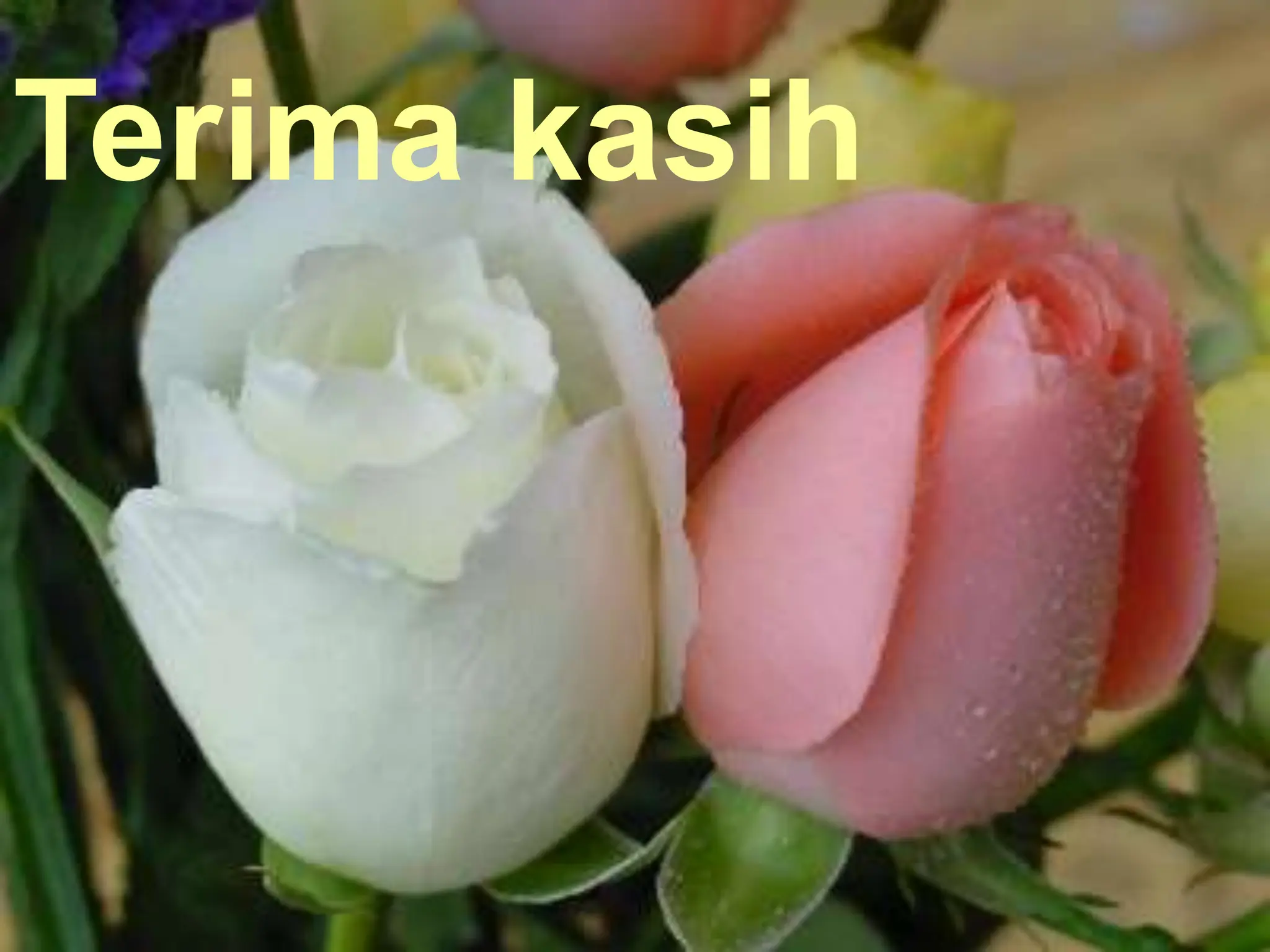 INFO DASAR HIV AIDS di tempat kerja oleh Dr Sadi | PPT