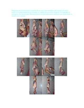 Llegamos así al aislamiento completo de la parte más rendidora del animal, el cuarto
trasero o rueda compuesto de la nalga, el cuadril con su colita, el peceto, la cuadrada, la
tortuguita. La última parte llamada garrón es apreciada como ossobuco, que deshuesado se
vende como carnaza.
 