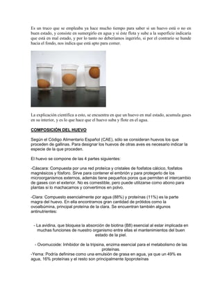 Es un truco que se empleaba ya hace mucho tiempo para saber si un huevo está o no en
buen estado, y consiste en sumergirlo en agua y si éste flota y sube a la superficie indicaría
que está en mal estado, y por lo tanto no deberíamos ingerirlo, si por el contrario se hunde
hacia el fondo, nos indica que está apto para comer.




La explicación científica a esto, se encuentra en que un huevo en mal estado, acumula gases
en su interior, y es lo que hace que el huevo suba y flote en el agua.

COMPOSICIÓN DEL HUEVO

Según el Código Alimentario Español (CAE), sólo se consideran huevos los que
proceden de gallinas. Para designar los huevos de otras aves es necesario indicar la
especie de la que proceden.

El huevo se compone de las 4 partes siguientes:

-Cáscara: Compuesta por una red proteíca y cristales de fosfatos cálcico, fosfatos
magnésicos y fósforo. Sirve para contener el embrión y para protegerlo de los
microorganismos externos, además tiene pequeños poros que permiten el intercambio
de gases con el exterior. No es comestible, pero puede utilizarse como abono para
plantas si lo machacamos y convertimos en polvo.

-Clara: Compuesto esencialmente por agua (88%) y proteínas (11%) es la parte
magra del huevo. En ella encontramos gran cantidad de prótidos como la
ovoalbúmina, principal proteína de la clara. Se encuentran también algunos
antinutrientes:


 - La avidina, que bloquea la absorción de biotina (B8) esencial al estar implicada en
   muchas funciones de nuestro organismo entre ellas el mantenimientos del buen
                                  estado de la piel.

  - Ovomucoide: Inhibidor de la tripsina, enzima esencial para el metabolismo de las
                                       proteínas.
-Yema: Podría definirse como una emulsión de grasa en agua, ya que un 49% es
agua, 16% proteínas y el resto son principalmente lipoproteínas
 