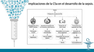 01
02
Implicaciones de la C5a en el desarrollo de la sepsis.
 