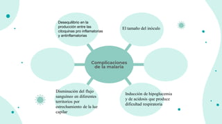 Complicaciones
de la malaria
El tamaño del inóculo
Desequilibrio en la
producción entre las
citoquinas pro inflamatorias
y antinflamatorias
Inducción de hipoglucemia
y de acidosis que produce
dificultad respiratoria
Disminución del flujo
sanguíneo en diferentes
territorios por
estrechamiento de la luz
capilar
 