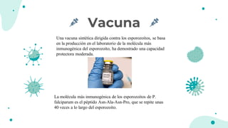 Vacuna
Una vacuna sintética dirigida contra los esporozoítos, se basa
en la producción en el laboratorio de la molécula más
inmunogénica del esporozoíto, ha demostrado una capacidad
protectora moderada.
La molécula más inmunogénica de los esporozoítos de P.
falciparum es el péptido Asn-Ala-Asn-Pro, que se repite unas
40 veces a lo largo del esporozoíto.
 