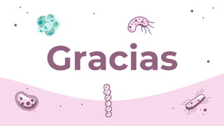 Gracias
 