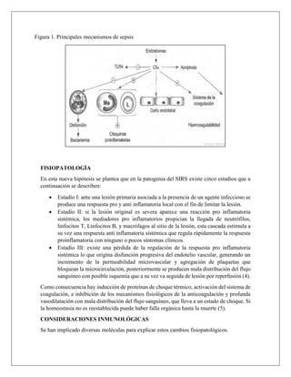 FISIOPATOLOGÍA
En esta nueva hipótesis se plantea que en la patogenia del SIRS existe cinco estadios que a
continuación se describen:
 Estadío I: ante una lesión primaria asociada a la presencia de un agente infeccioso se
produce una respuesta pro y anti inflamatoria local con el fin de limitar la lesión.
 Estadío II: si la lesión original es severa aparece una reacción pro inflamatoria
sistémica, los mediadores pro inflamatorios propician la llegada de neutrófilos,
linfocitos T, Linfocitos B, y macrófagos al sitio de la lesión, esta cascada estimula a
su vez una respuesta anti inflamatoria sistémica que regula rápidamente la respuesta
proinflamatoria con ninguno o pocos síntomas clínicos.
 Estadío III: existe una pérdida de la regulación de la respuesta pro inflamatoria
sistémica lo que origina disfunción progresiva del endotelio vascular, generando un
incremento de la permeabilidad microvascular y agregación de plaquetas que
bloquean la microcirculación, posteriormente se producen mala distribución del flujo
sanguíneo con posible isquemia que a su vez va seguida de lesión por reperfusión (4).
Como consecuencia hay inducción de proteínas de choque térmico, activación del sistema de
coagulación, e inhibición de los mecanismos fisiológicos de la anticoagulación y profunda
vasodilatación con mala distribución del flujo sanguíneo, que lleva a un estado de choque. Si
la homeostasia no es reestablecida puede haber falla orgánica hasta la muerte (5).
CONSIDERACIONES INMUNOLÓGICAS
Se han implicado diversas moléculas para explicar estos cambios fisiopatológicos.
Figura 1. Principales mecanismos de sepsis
 