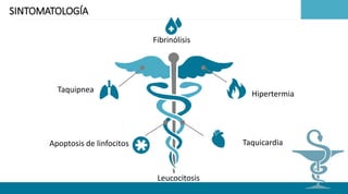 a su pH normal
reestablezca el equilibrio
original.
SINTOMATOLOGÍA
Hipertermia
Taquicardia
Taquipnea
Leucocitosis
Fibrinólisis
Apoptosis de linfocitos
 
