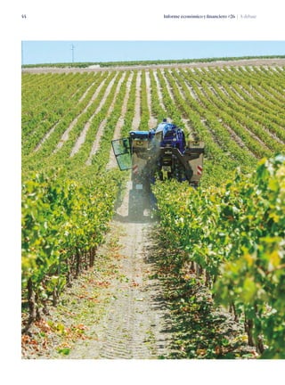 Informe económico y financiero #26 | A debate44
 