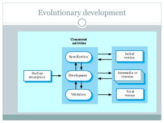 Evolutionary development 
 