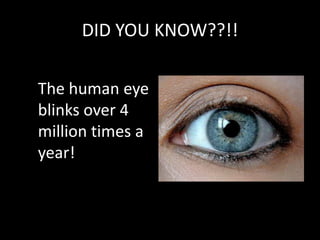 WORD OF THE DAYpariah -(n) – an outcastJimmy felt like a pariah when no one wanted to go on a date with him.