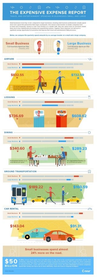 Concur ExpenseIQ Report Infographic