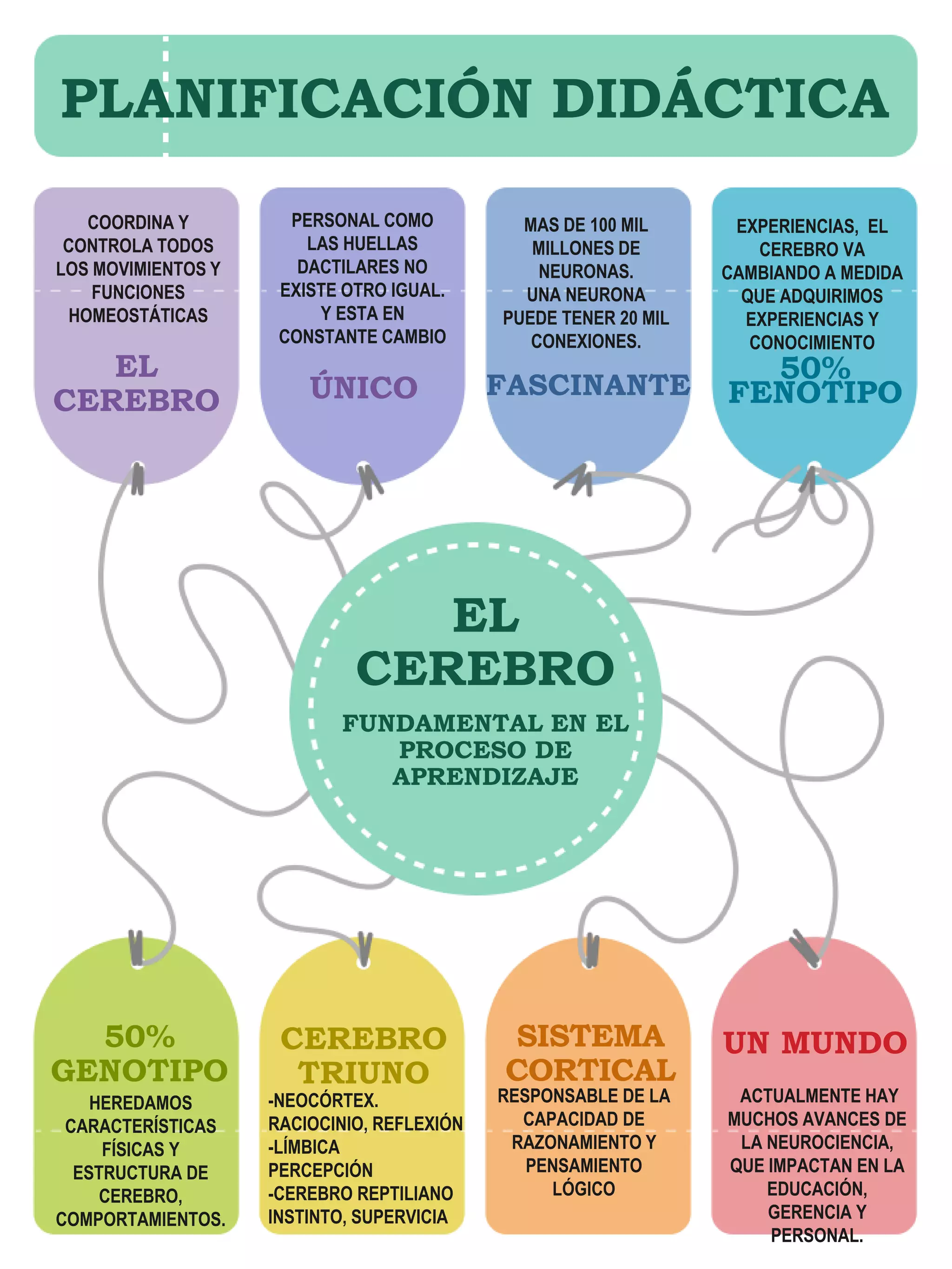 infografia-el-cerebro-y-el-aprendizaje-pptx