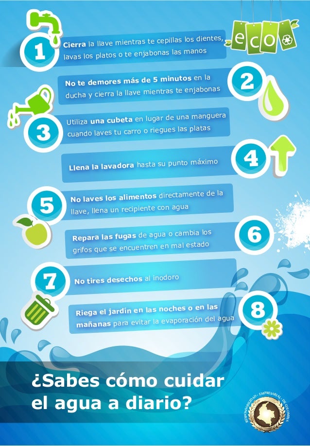 preguntas basicas sobre el agua 191 sabes c 243 mo cuidar el agua a diario preguntas basicas sobre el agua 191 sabes c 243 mo cuidar el agua a diario