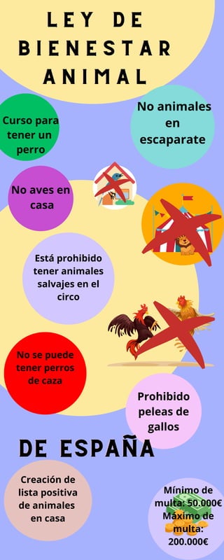 Está prohibido
tener animales
salvajes en el
circo
L E Y D E
L E Y D E
L E Y D E
B I E N E S T A R
B I E N E S T A R
B I E N E S T A R
A N I M A L
A N I M A L
A N I M A L
Prohibido
peleas de
gallos
No se puede
tener perros
de caza
Curso para
tener un
perro
No aves en
casa
No animales
en
escaparate
Creación de
lista positiva
de animales
en casa
Mínimo de
multa: 50.000€
Máximo de
multa:
200.000€
DE ESPAÑA
DE ESPAÑA
DE ESPAÑA
 