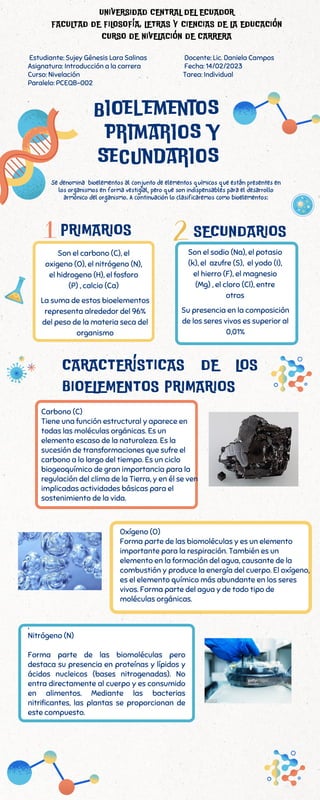 Propiedades Químicas, bioelementos primarios y secundarios | PDF