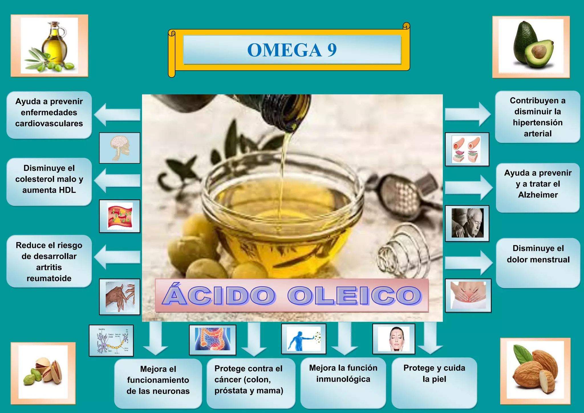 Infografía Omega 9 PPT