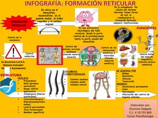 FORMACIÓN
RETICULAR
Se ubica en el
diencéfalo,
mesencéfalo, en el
puente anular, el bulbo
raquídeo y la médula
espinal
Se denomina S.A.R.A.
(Sistema Activador
Reticular Ascendente)
Es una estructura
neurológica del tallo
cerebral, desde la parte
rostral de la protuberancia
hasta la parte caudal del
diencéfalo
En la autogénesis las
células del Sistema
Nervioso tienen forma
de red; al
complejizarse la
Formación Reticular
adquiere ramificaciones
FUNCIONES
Control motor
del músculo
esquelético
(función motora
somática)
Control de las
sensaciones
somáticas y
viscerales
(función
sensorial
somática)
Control del
sistema nervioso
autónomo
(función motora
visceral)
Control
endocrino
Control de la
conciencia
ESTRUCTURA
NÚCLEOS
 Precerebral
 Rafé (produce
serotonina)
 Grupo central
(glutamato)
 Colinérgicos (liberan
acetilcolina)
 Catecolaminérgicos
(Noradrenalina/adre
nalina)
 Lateral parvocelular
 Área Parabraquial
 Medular superficial
SE LESIONA POR
 Golpes
 Encefalitis
 Absceso
 Tumoración
ORIGINA:
 Inconciencia permanente
 Coma
 Narcolepsia
 Afectación del control de
órganos internos
COLUMNAS
LONGITUDINALES
 Columna mediana
 Columna media
 Columna lateral
Elaborador por:
Diunnars Delgado
C.I.: V-19.701.869
Curso: Psicofisiología
 