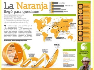 Infografías