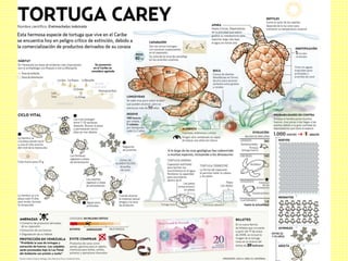 Infografías