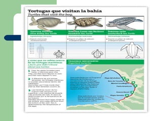 Infografia